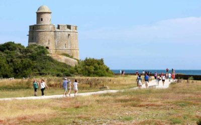 Site majeur du tourisme dans le Cotentin, l’île de Tatihou a retrouvé ses visiteurs en 2022!